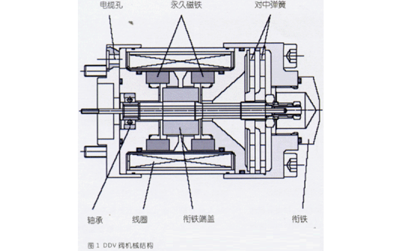 DDV阀介绍及其应用